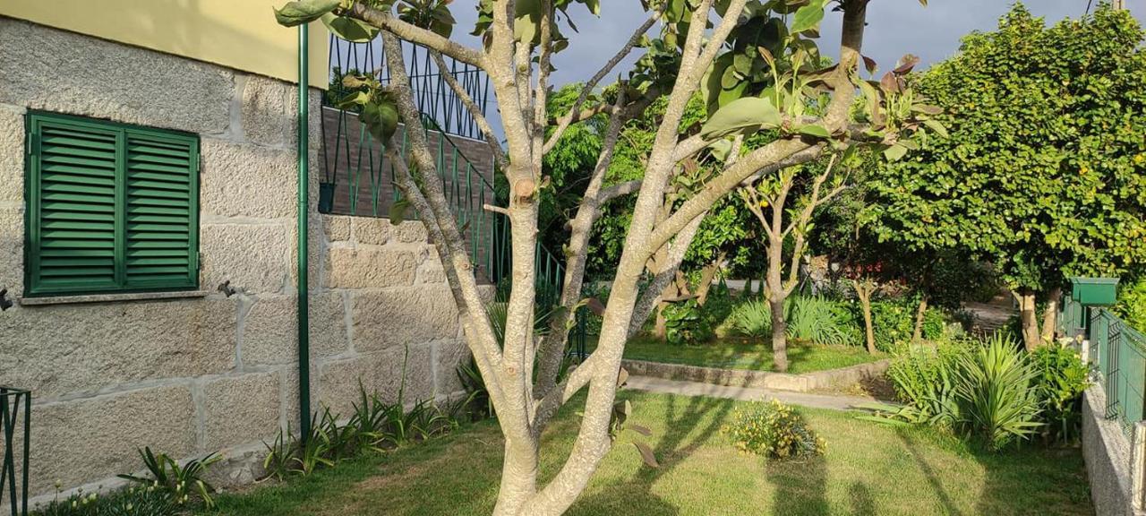 Casa Dos Avos Villa Canas de Senhorim Exterior foto
