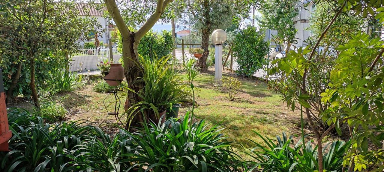 Casa Dos Avos Villa Canas de Senhorim Exterior foto