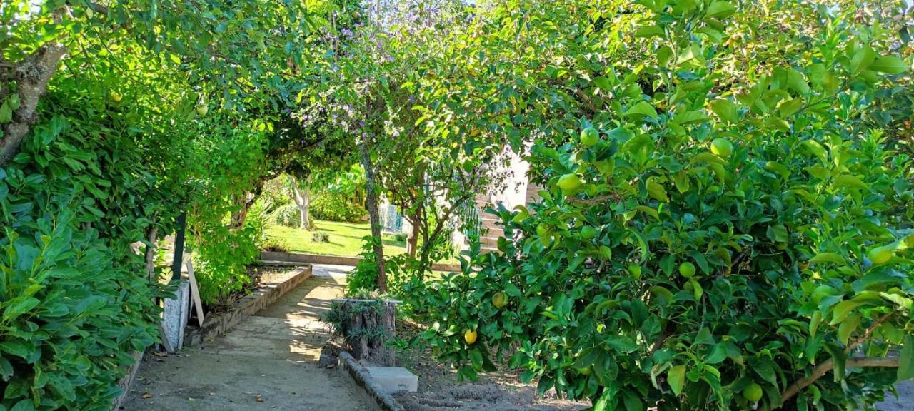 Casa Dos Avos Villa Canas de Senhorim Exterior foto